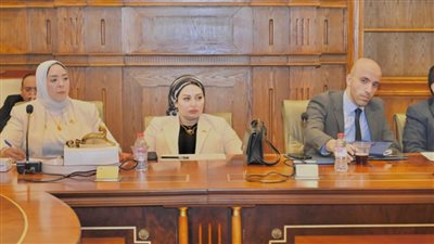 شيرين صبري: قانون الإدارة المحلية المرتقب حجر الأساس لإصلاح منظومة المحافظات