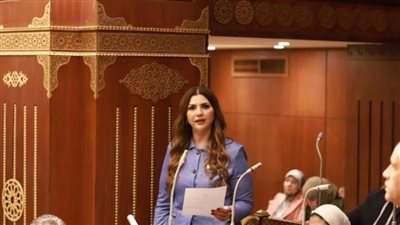 مجلس الشيوخ يتلقى مقترحا لإعداد خريطة قطاعية للمهارات في ضوء التحول الرقمي