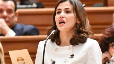 النائبة نيفين إسكندر: ارتفاع أسعار أدوية الأمراض المزمنة يعكس عشوائية إدارة ملف الدواء| خاص