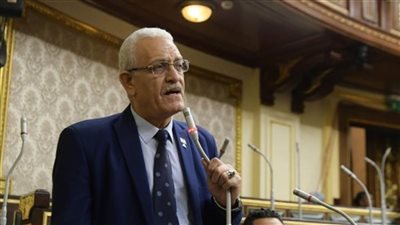مغاوري: المحليات النبتة الأولى للديمقراطية وتخفف الضغط عن البرلمان| خاص