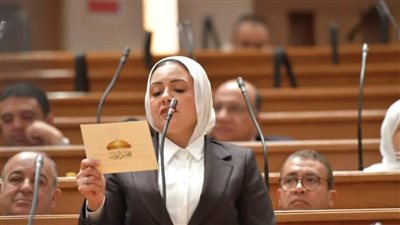 ريهام عبدالنبي: القاهرة مطالبة بتحركات عاجلة لمواجهة الخطاب يمس سيادة الدول الإقليمية