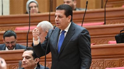 محمود سامي: تأخر إنشاء مبنى الطوارئ بمستشفى منية النصر يقلل جودة الرعاية الصحية