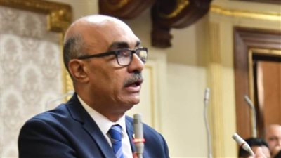 لمدة 4 سنوات.. برلماني يطالب بمحاسبة المتقاعسين عن تنفيذ أحكام مؤقتي الزراعة