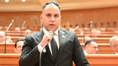 برلماني: تشغيل معبر رفح ثمرة للتحركات الدبلوماسية المصرية الناجحة