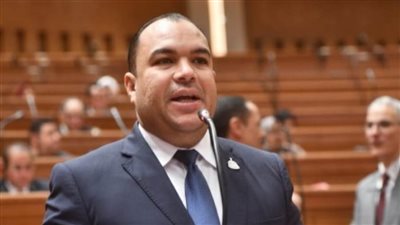 أحمد عصام الدين: مكافحة الهجرة غير الشرعية تبدأ بتوفير فرص عمل