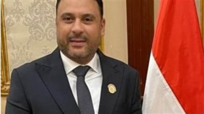 عضو بمجلس الشيوخ: تنسيق القاهرة والرياض ينتقل من إدارة الأزمات إلى استباقها