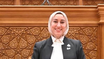 طلب إحاطة برلماني لمراجعة دور الهيئة القومية لسلامة الغذاء ومكافحة 