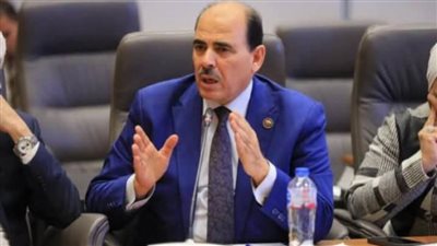 برلماني: القاهرة والرياض تقودان العمل العربي المشترك في مواجهة التحديات