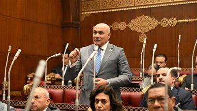شعبان رأفت: العلاقات المصرية–السعودية تعكس توافق القاهرة والرياض على دعم القضية الفلسطينية