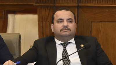 صالح محمود يطالب بضمانات دستورية لحماية مجانية العلاج بالمستشفيات الجامعية