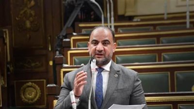 ليسو ارقامًا في الدولة.. حاتم عبدالعزيز يتقدم بطلب إحاطة لزيادة المعاشات