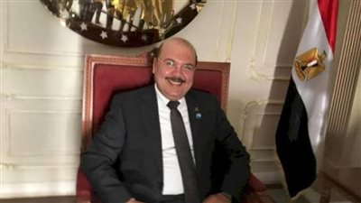 عضو صناعة الشيوخ: استقرار الغاز والكهرباء رسالة طمأنة للصناعة والمواطنين