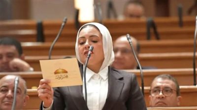 ريهام عبدالنبي: تفعيل المحليات يضمن وصول الخدمات لمستحقيها بـ