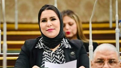 نيفين الكاتب: إدراج تطوير طريق مدخل دهشور بدمنهور ضمن خطة المحافظة المقبلة