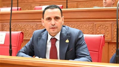 إسلام التلواني: القيادة السياسية تلعب دورا محوريا لاحتواء الصراع في المنطقة