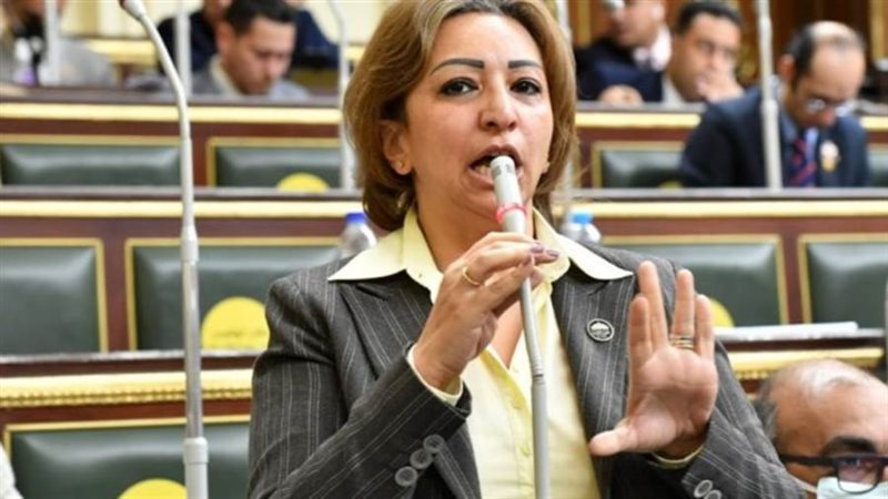 النائبة مها عبدالناصر