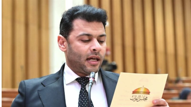 النائب أحمد حلمي