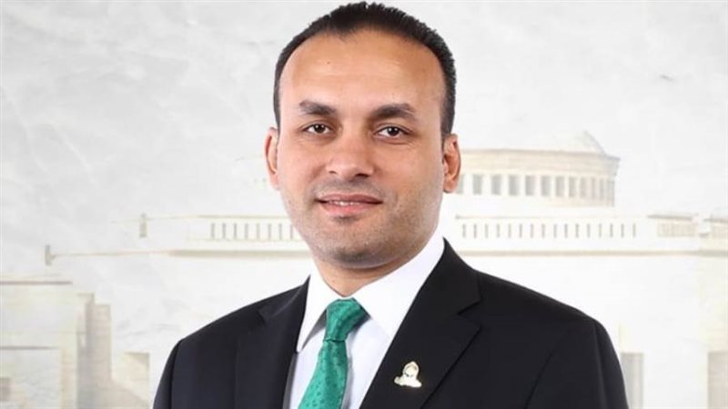 النائب عمرو فهمي