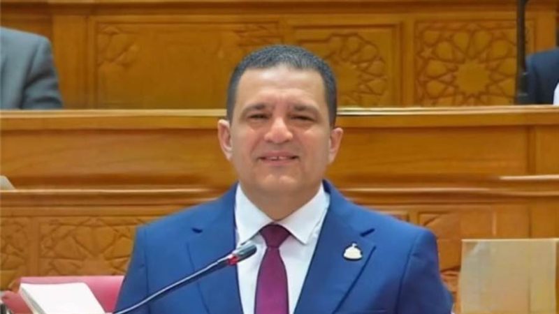 النائب أمير الجزار