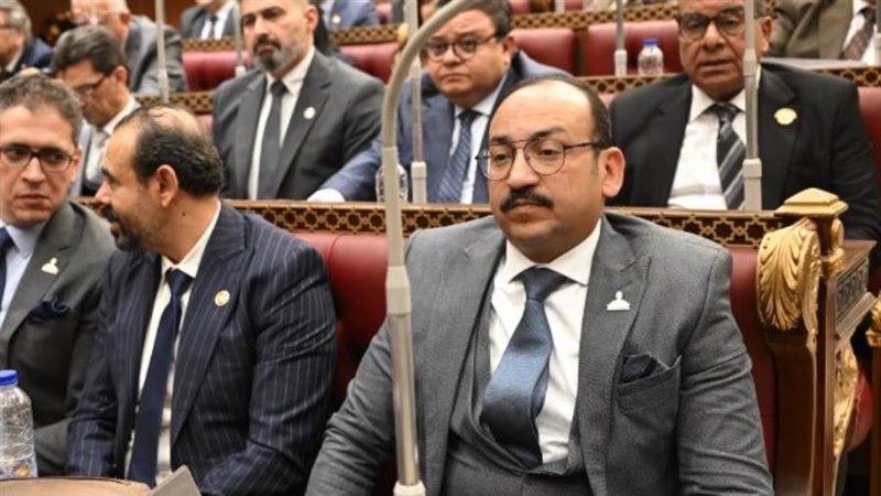 النائب عبد العاطي