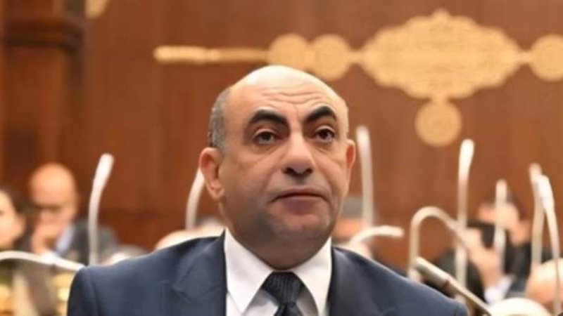 النائب محمد إبراهيم