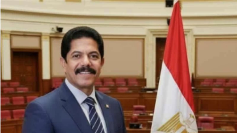النائب علاء الحديوي