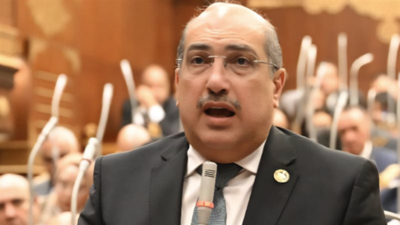 النائب إيهاب وهبة