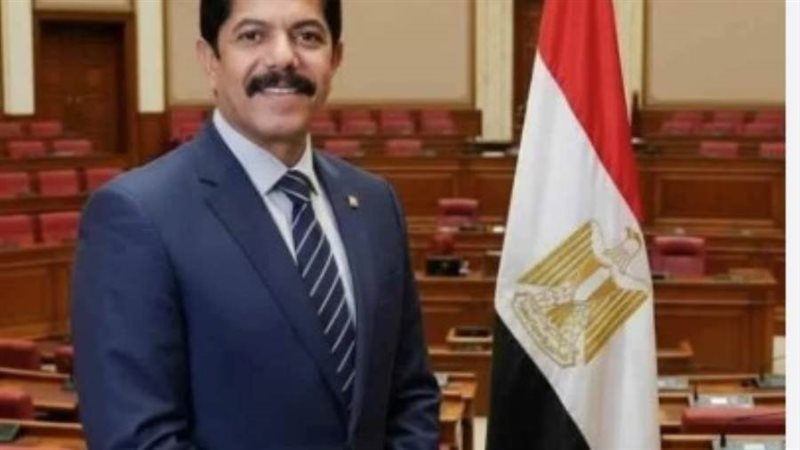 عضو مجلس النواب النائب