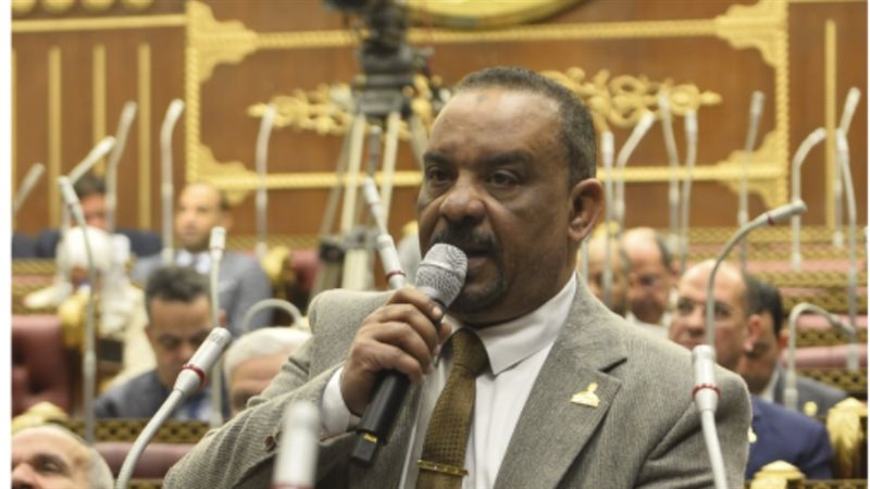 النائب أحمد حافظ