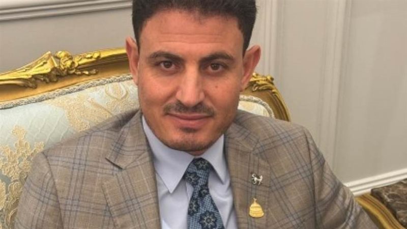 النائب عبدالناصر