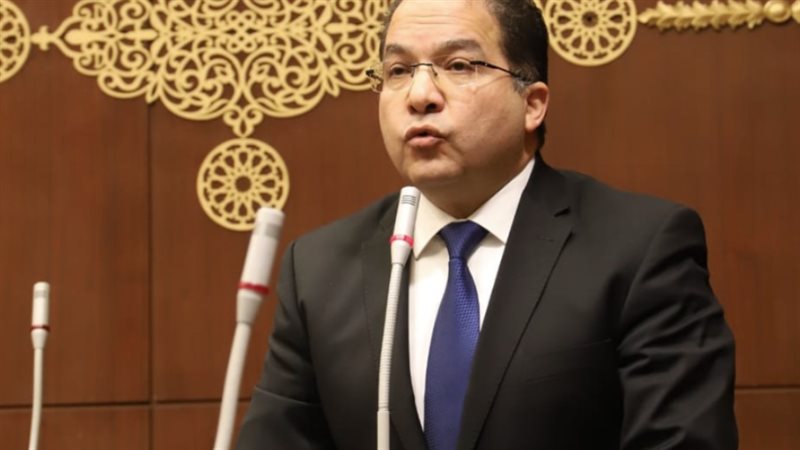 النائب عادل اللمعي