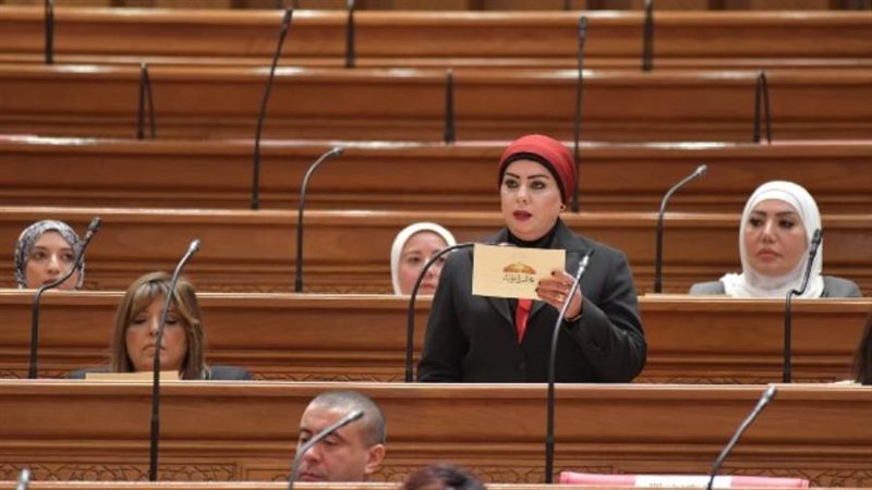 عضو مجلس النواب جيهان