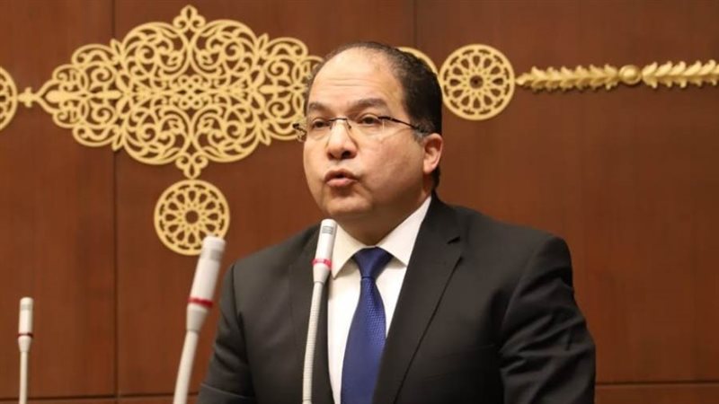 النائب عادل اللمعي