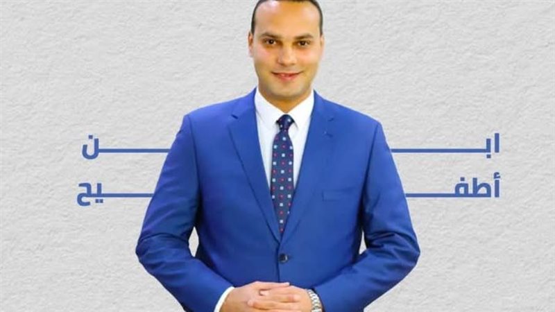 عضو مجلس النواب أنس