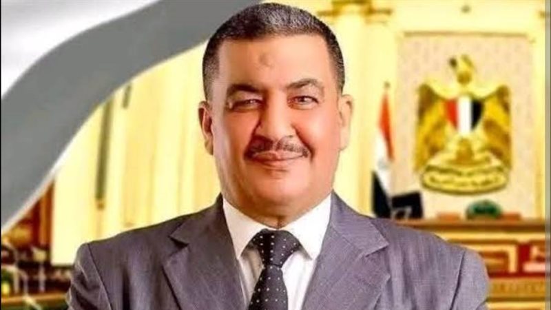 عضو مجلس النواب محمود