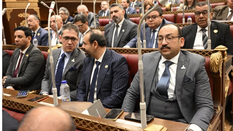 النائب عبد العاطي