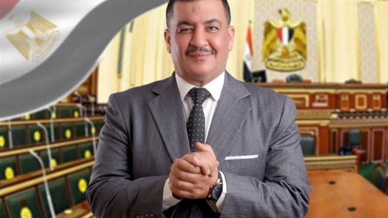 عضو مجلس النواب محمود