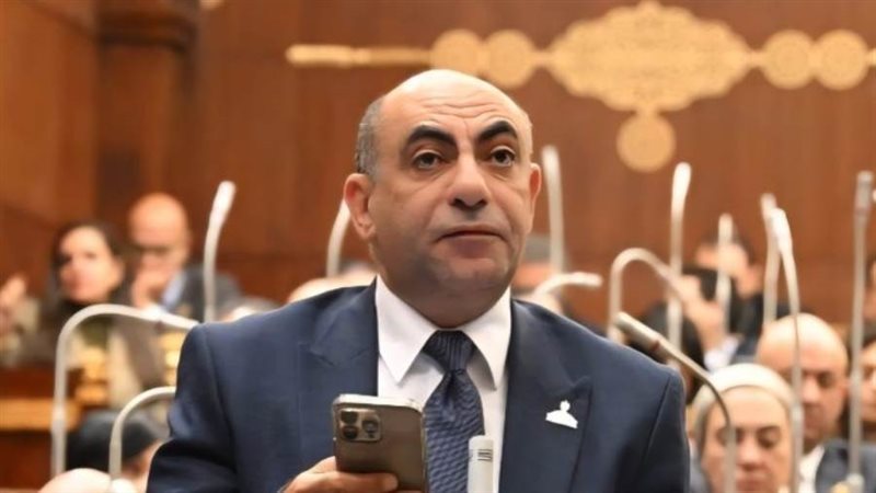 النائب محمد إبراهيم