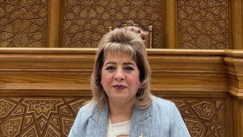 النائبة هناء أنيس