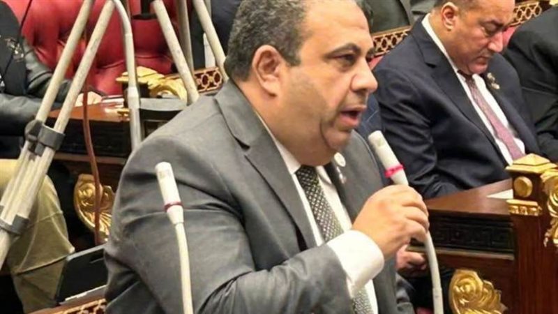 النائب أيمن الصفتي