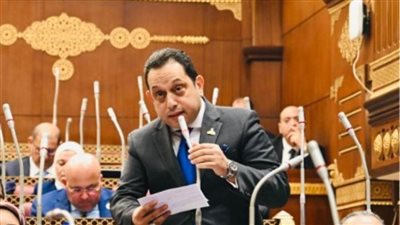 النائب محمد الجندي: جولة السيسي الخليجية تحرك مدروس لاحتواء التوترات
