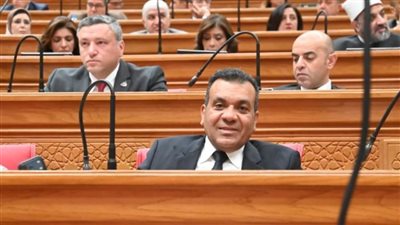 أشرف مرزوق: مصر تقود جهود الحوار لمنع الفوضى الإقليمية الشاملة