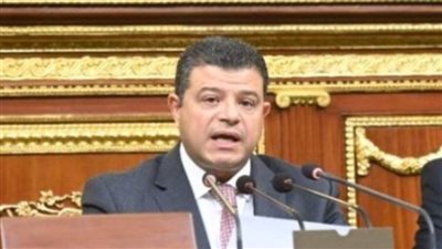 محمد سليمان: لن يُكتب مصير العرب خارج إرادتهم ومصر 