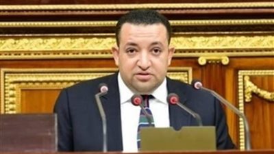 النائب تامر عبدالقادر: طبيعة الوادي الجديد تستوجب استثناءها من مواعيد غلق المحلات