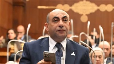 محمد إبراهيم موسى: دعم ريادة الأعمال مفتاح جذب الاستثمارات وتوفير فرص العمل