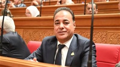 برلماني: استيراد النفط الليبي يجسد قوة العلاقات المصرية الليبية.. ونثمّن دعم طرابلس قيادةً وشعبًا