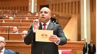 الرقابة الغائبة.. علي خليفة يضع 