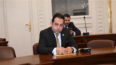 النائب محمد الجندي: تنويع مصادر الطاقة وجذب الاستثمارات الأجنبية ضرورة عاجلة لحماية الاقتصاد