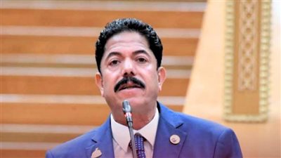 علاء الحديوي: التحرك المصري ساهم في سد الفجوة بين واشنطن وطهران