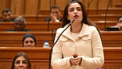 إيرين سعيد تتقدم بطلب إحاطة بشأن نقص خدمات الصرف الصحي في  قرية عرب أبوعيد بطوخ